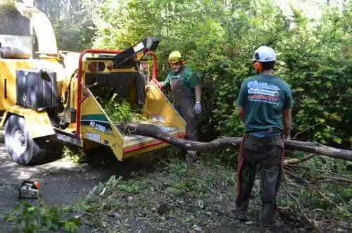 tree services Unalakleet